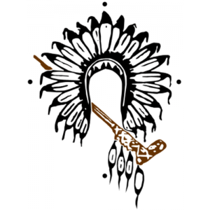 Grand Council Treaty 3 logo