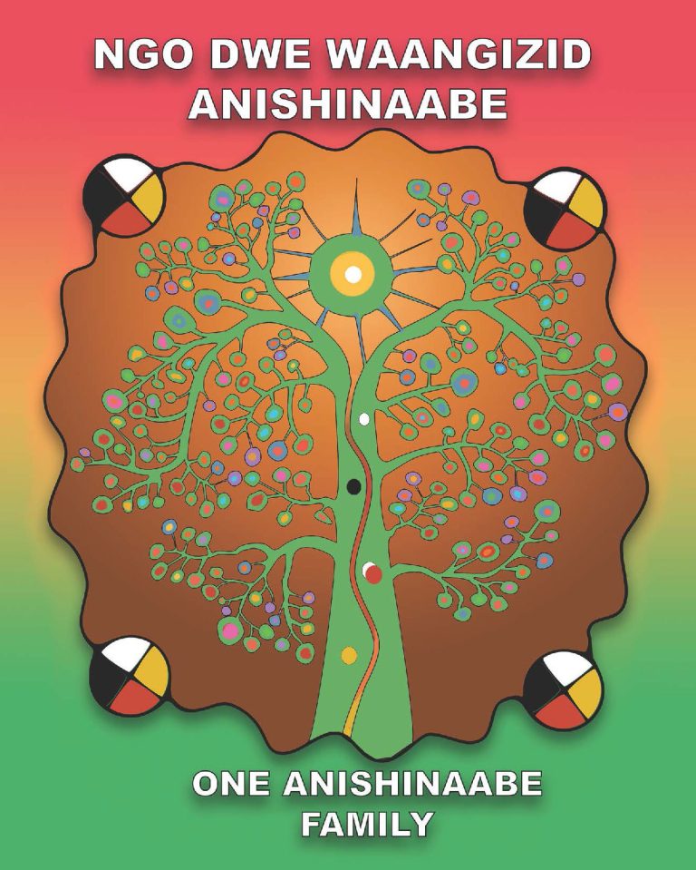 Ngo Dwe Waangizid Anishinaabe One Anishinaabe Family colouring book cover